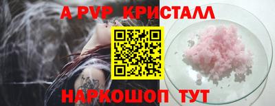 стаф Будённовск
