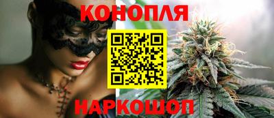 стаф Будённовск