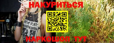 стаф Будённовск