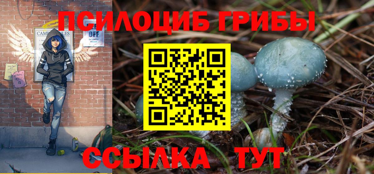 Ноябрьск  Галлюциногенные грибы прущие грибы  Вход с VPN 